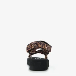 Scapino Dames sandalen met panterprint zwart New