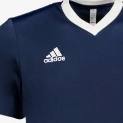 Adidas Entrada 22 heren sport T-shirt blauw