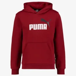 Puma ESS 2 Col Big Logo FL kinder hoodie rood Discount