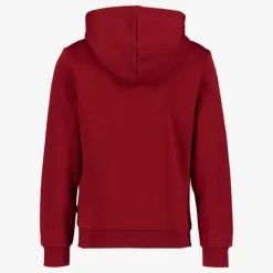 Puma ESS 2 Col Big Logo FL kinder hoodie rood Discount