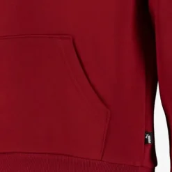 Puma ESS 2 Col Big Logo FL kinder hoodie rood Discount