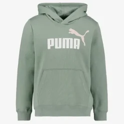 Puma ESS 2 Col Big Logo FL kinder hoodie groen Clearance