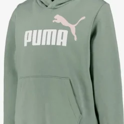 Puma ESS 2 Col Big Logo FL kinder hoodie groen Clearance