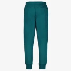 Puma Ess 2 Col Logo heren joggingbroek groen Hot