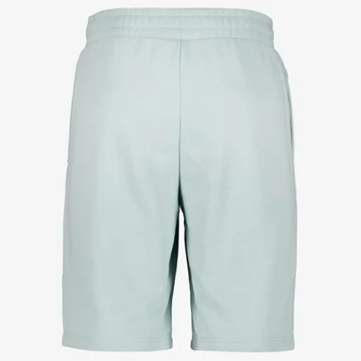 Puma Ess 2 Color No. 1 heren short lichtgroen Best