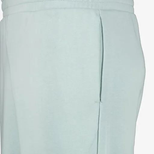 Puma Ess 2 Color No. 1 heren short lichtgroen Best