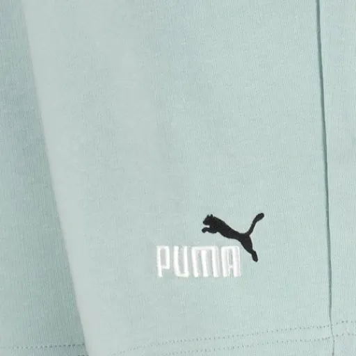 Puma Ess 2 Color No. 1 heren short lichtgroen Best