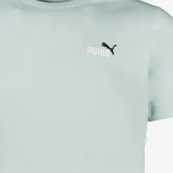 Puma Ess 2 Color No. 1 Logo heren T-shirt groen