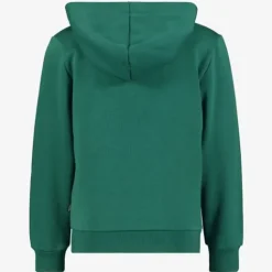 Puma ESS Col 2 Big Logo kinder hoodie groen Sale
