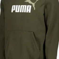 Puma Essentials 2 Color No. 1 Logo hoodie donkergroen Online