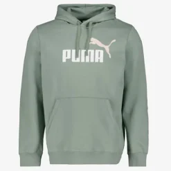 Puma Essentials 2 Color No. 1 Logo hoodie groen Clearance