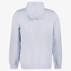 Puma Essentials 2 Color No. 1 Logo hoodie blauw Best