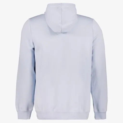 Puma Essentials 2 Color No. 1 Logo hoodie blauw Best