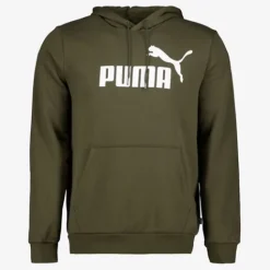 Puma Essentials Big Logo heren hoodie donkergroen Best