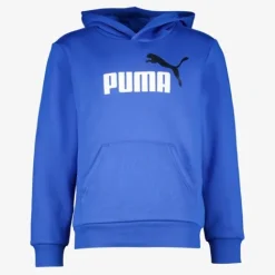 Puma Essentials Big Logo kinder hoodie blauw Online