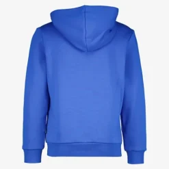 Puma Essentials Big Logo kinder hoodie blauw Online