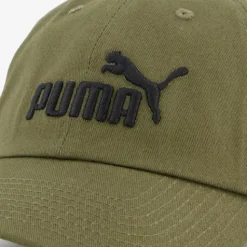 Puma Essentials Logo pet groen