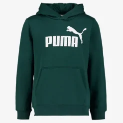 Puma Essentials No. 1 Logo kinder hoodie groen