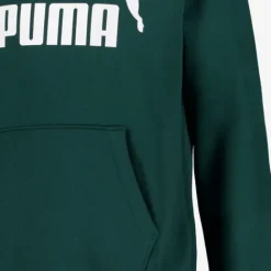 Puma Essentials No. 1 Logo kinder hoodie groen