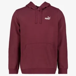 Puma Essentials Small Logo heren hoodie rood Best