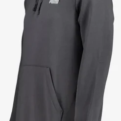 Puma Essentials Small No. 1 Logo heren hoodie grijs Outlet