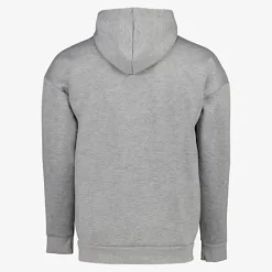 Osaga Heren hoodie grijs Sale