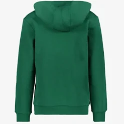 Adidas J 3S Tib kinder hoodie groen zwart Online