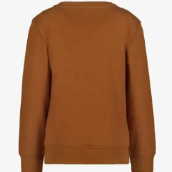 Unsigned Jongens sweater bruin met tijger Hot