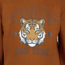 Unsigned Jongens sweater bruin met tijger Hot