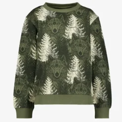 Unsigned Jongens sweater met wolven groen Sale