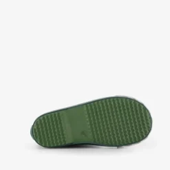 Mountain Peak Kinder regenlaarzen draak groen Online