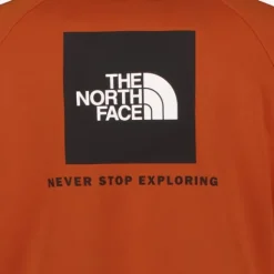 The North Face Redbox heren hoodie roestbruin Clearance