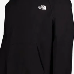 The North Face Redbox heren hoodie zwart Hot