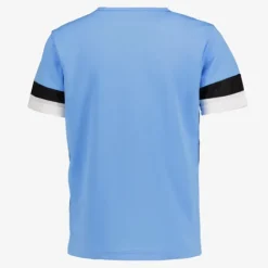 Puma TeamRISE Jersey kinder voetbal T-shirt blauw Clearance